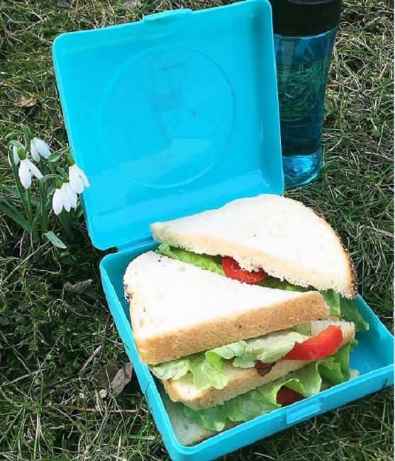 Madkasse til børn Carl Oscar Sandwich Box