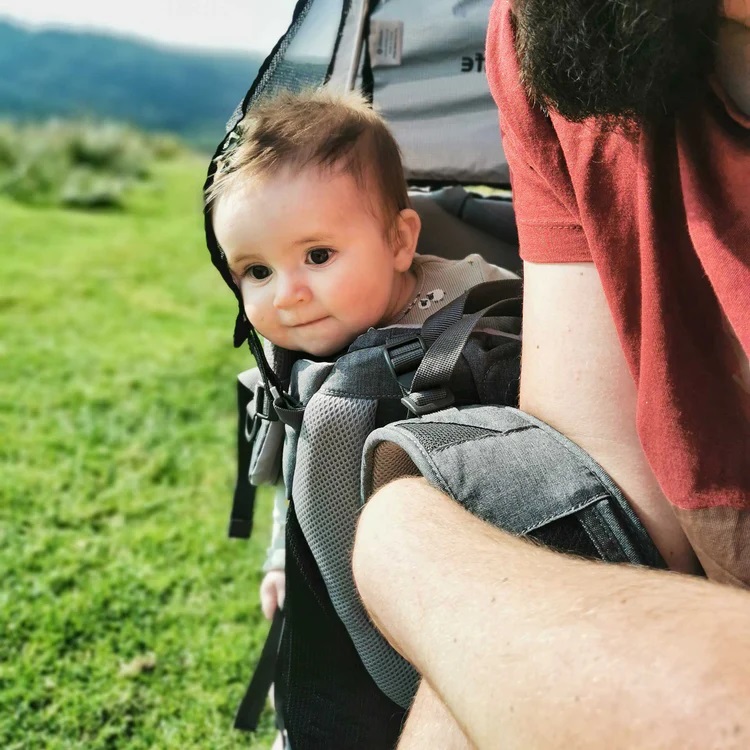 Bærestol til børn LittleLife Pathseeker Grey