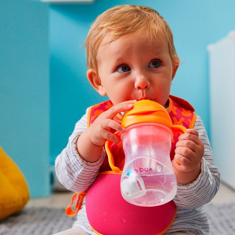 Drikkedunk til børn med sugerør B.box Sippy Cup Orange Zing