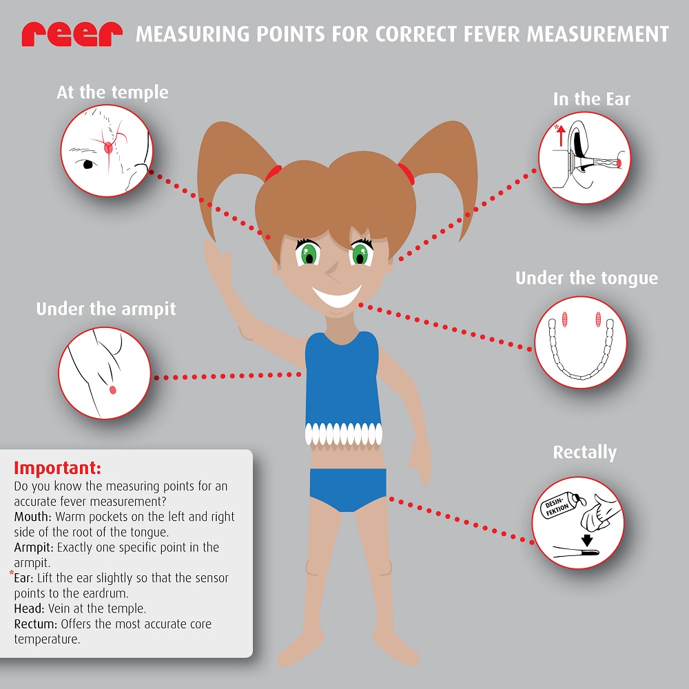 Digitalt feber termometer Reer ExpressTemp Pro