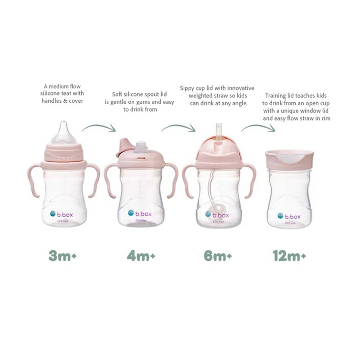 Drikkedunk til baby og børn B.box Transition Value Pack Blush