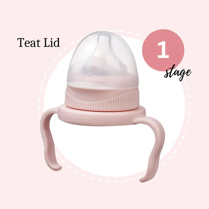 Drikkedunk til baby og børn B.box Transition Value Pack Blush
