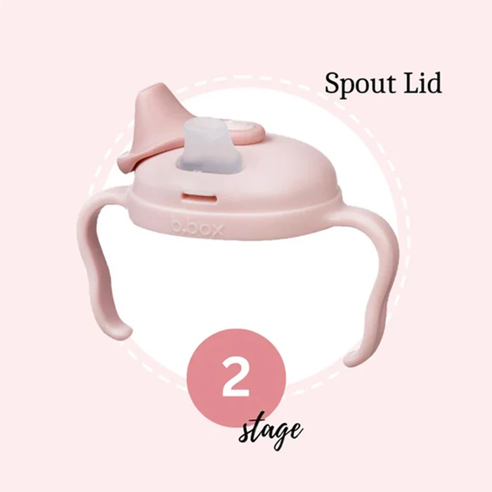 Drikkedunk til baby og børn B.box Transition Value Pack Blush