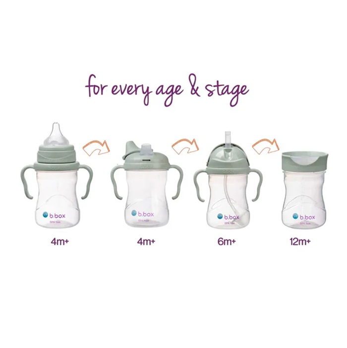 Drikkedunk til baby og børn B.box Transition Value Pack Sage